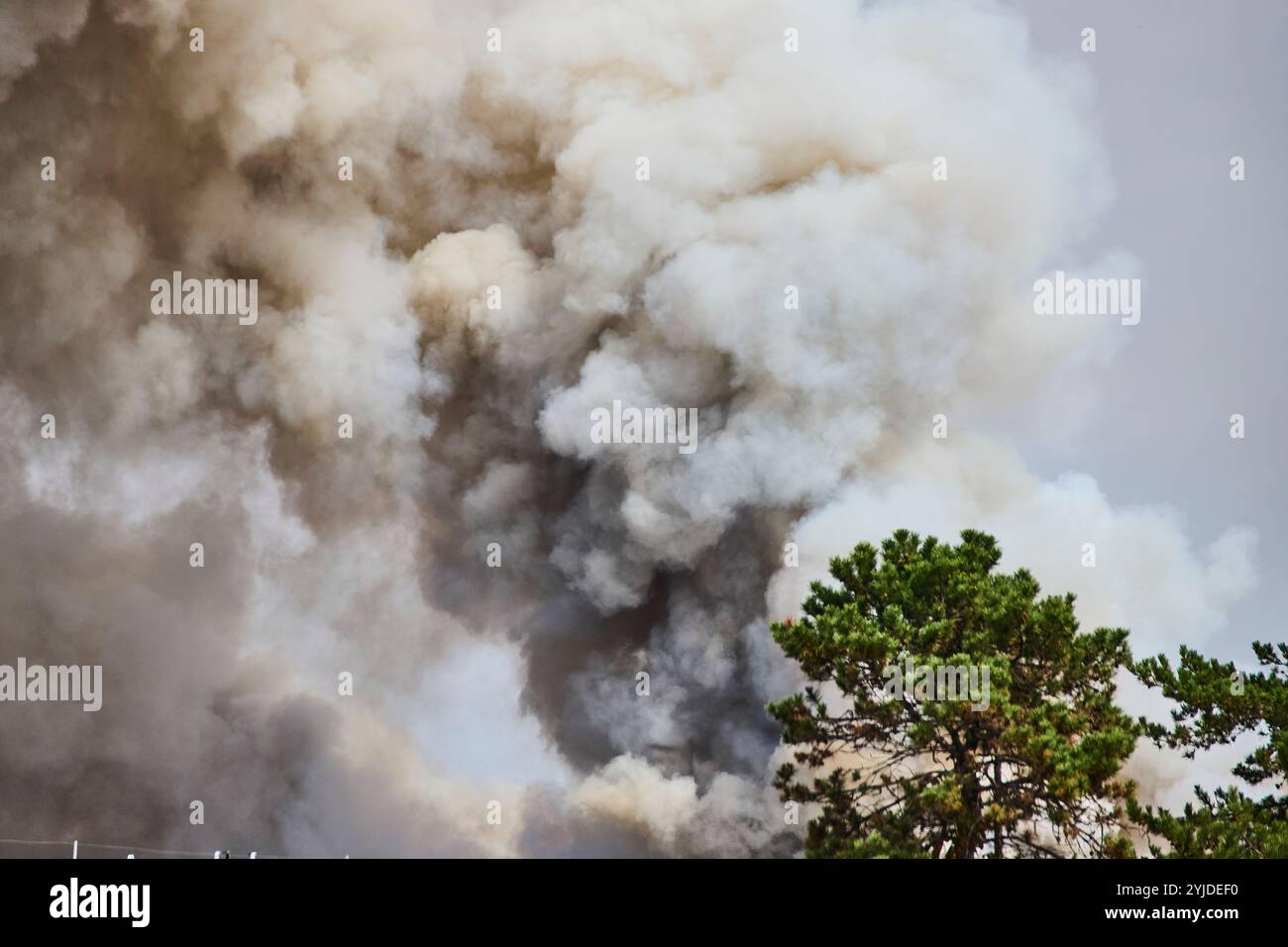 Il fumo del fuoco di Scrap Yard emana una vista a livello dell'occhio sulla linea degli alberi Foto Stock