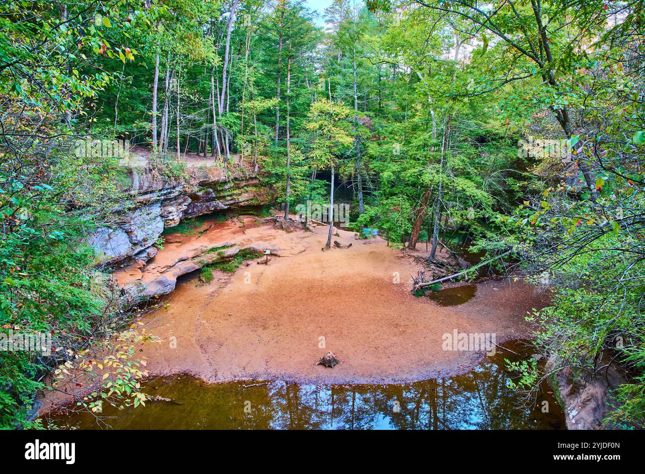 Tranquilla Forest Reflection a Hocking Hills, Ohio Eye-Level View Foto Stock