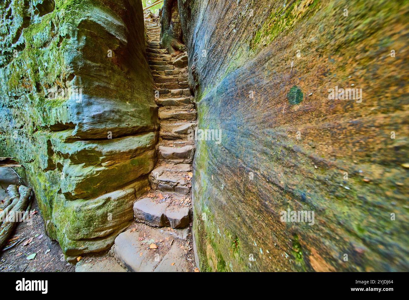 Vista dall'alto del sentiero escursionistico Cantwell Cliffs Stone Staircase Foto Stock