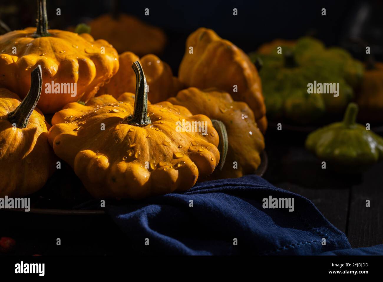 Le zucche mature, adornate da scintillanti goccioline d'acqua, creano un'atmosfera vivace su un tovagliolo blu scuro, catturando l'essenza della freschezza della fattoria Foto Stock