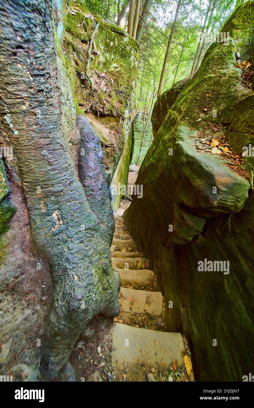 Scalinata delle scogliere di Cantwell attraverso la Mossy Rocks Aerial Look Down Foto Stock