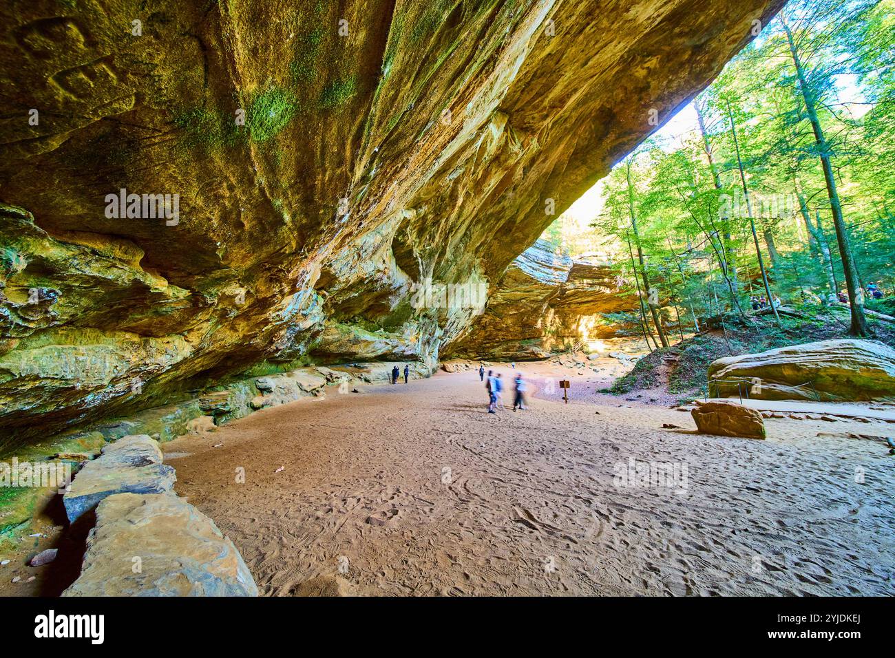 Ash Cave Overhang e Forest Motion Trail Perspective Foto Stock
