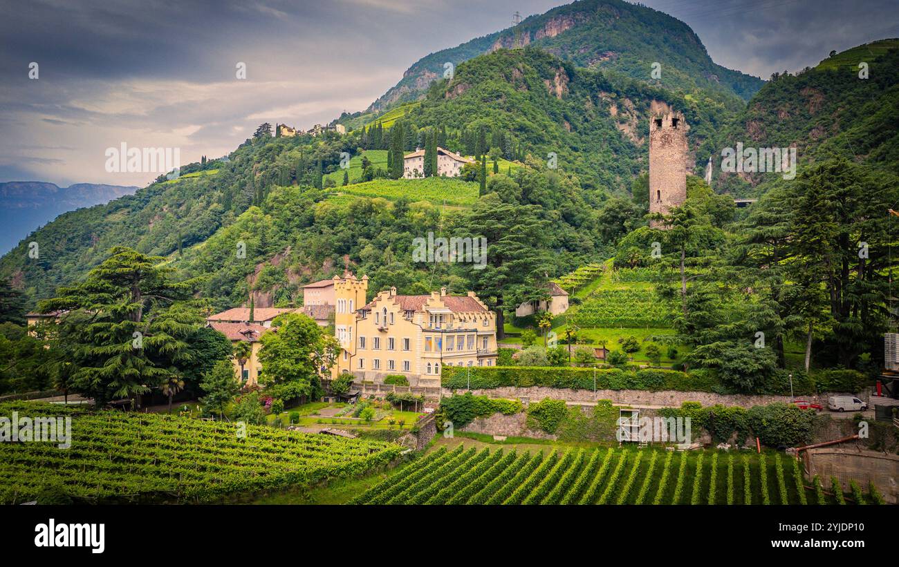 BOLZANO, ITALIA – 27 AGOSTO 2024: Tenuta Hans Rottensteiner, una rinomata azienda vinicola di Bolzano, produce vini pregiati, mettendo in mostra la dedizione della regione Foto Stock