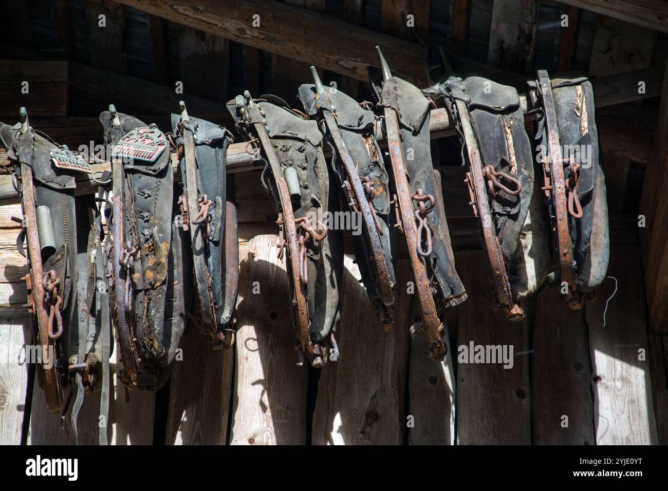 Il collare viene utilizzato per imbracare gli animali da traino in modo che possano tirare un carrello, ad esempio. Fotografato in Austria., Das Kummet dient dazu, Zugtiere einzu Foto Stock
