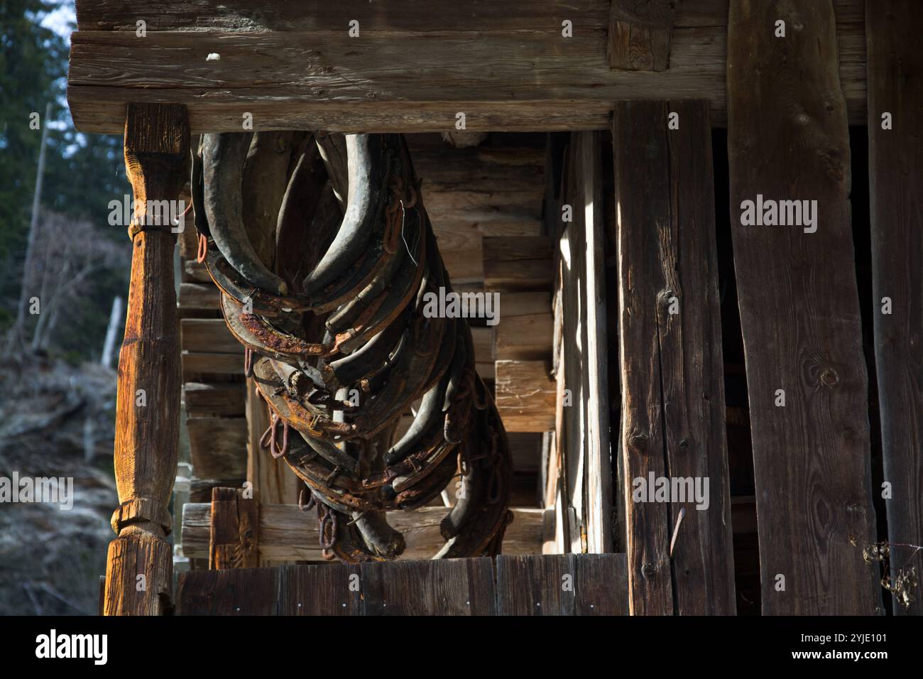 Il collare viene utilizzato per imbracare gli animali da traino in modo che possano tirare un carrello, ad esempio. Fotografato in Austria., Das Kummet dient dazu, Zugtiere einzu Foto Stock
