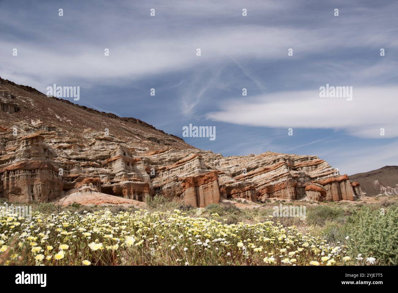 Antelope Valley Poppy Reserve in California, foto scattata a marzo, Antelope Valley Poppy Reserve a Kalifornien, foto aufgenommen im März. Foto Stock