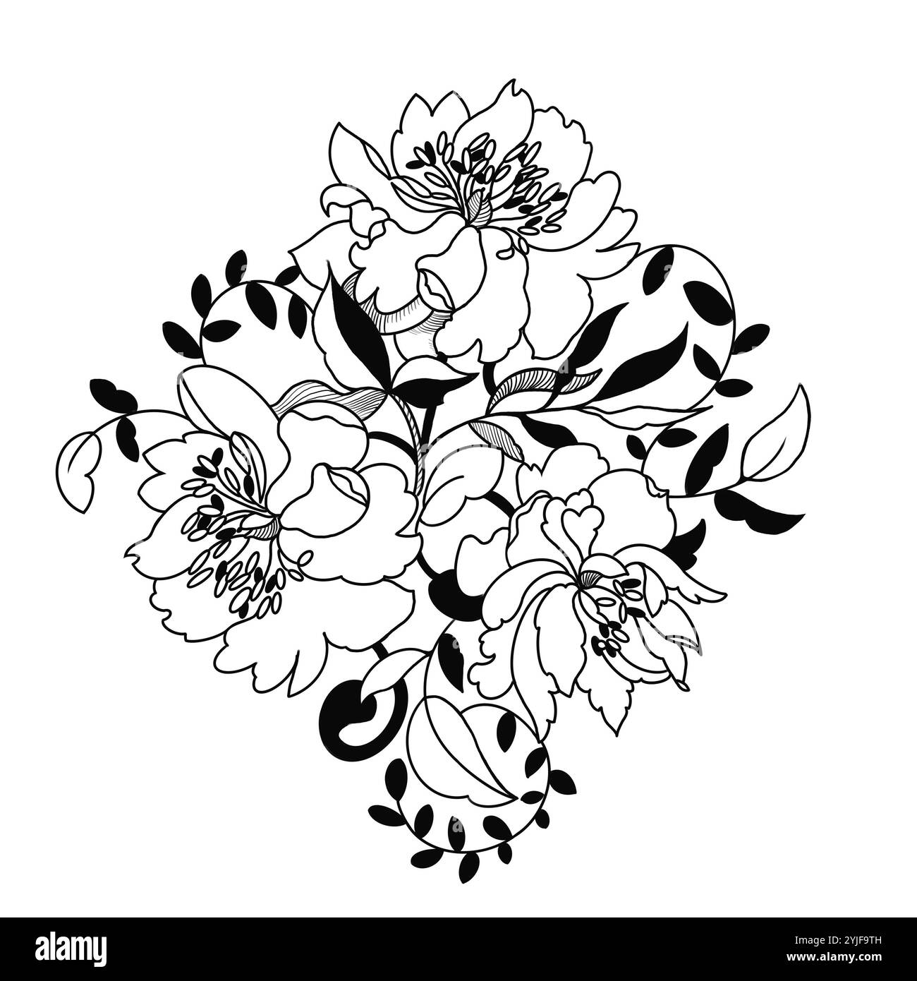 Illustrazione grafica con peonie Foto Stock