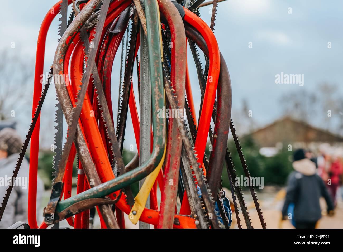 Seghe per potare un albero di Natale in un vivaio di abeti rossi. Seghe colorate in occasione della fiera di natale sfocata Foto Stock