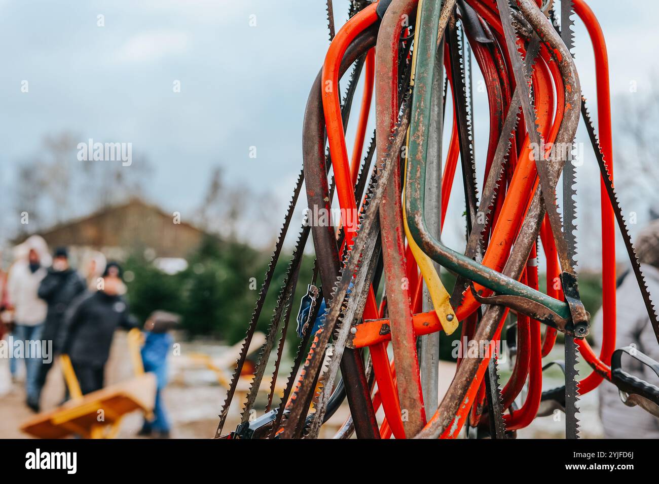 Mercatino dell'albero di Natale. Seghe per potare un albero di Natale in un vivaio di abeti seghe colorate su sfondo sfocato di alberi di natale. mercato con Foto Stock