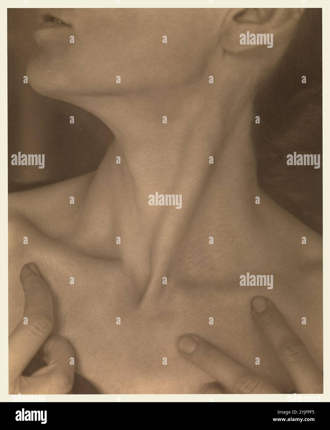 Georgia o'Keeffe -- Neck. Artista: Alfred Stieglitz (americano, Hoboken, New Jersey 1864-1946 New York). Dimensioni: 23,6 x 19,2 cm (5/16 x 9/16 pollici). Data: 1921. Questa fotografia, una delle più di trecento immagini di Stieglitz fatte di o'Keeffe (1887-1986) tra il 1917 e il 1937, fa parte di uno straordinario ritratto composito. Stieglitz credeva che la ritrattistica riguardasse più del semplice volto e che dovesse essere una registrazione dell'intera esperienza di una persona, un mosaico di movimenti espressivi, emozioni e gesti che avrebbero funzionato collettivamente per evocare una vita. Per esigere il ritratto Foto Stock