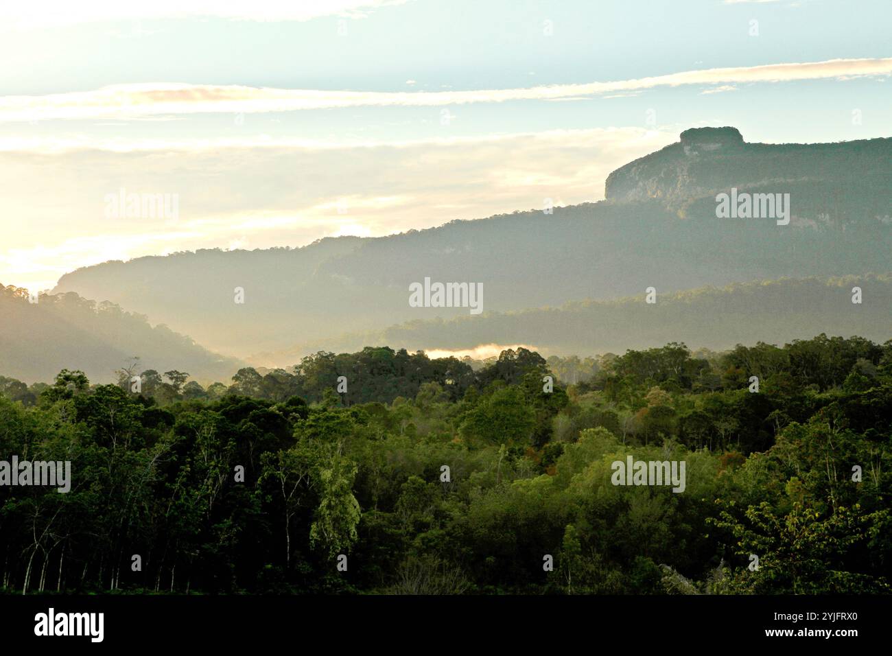 Una vista del paesaggio della foresta pluviale e di Bukit Tilung, una collina sacra secondo la gente del posto, a Nanga Raun, Kalis, Kapuas Hulu, Kalimantan occidentale, Indonesia. Foto Stock
