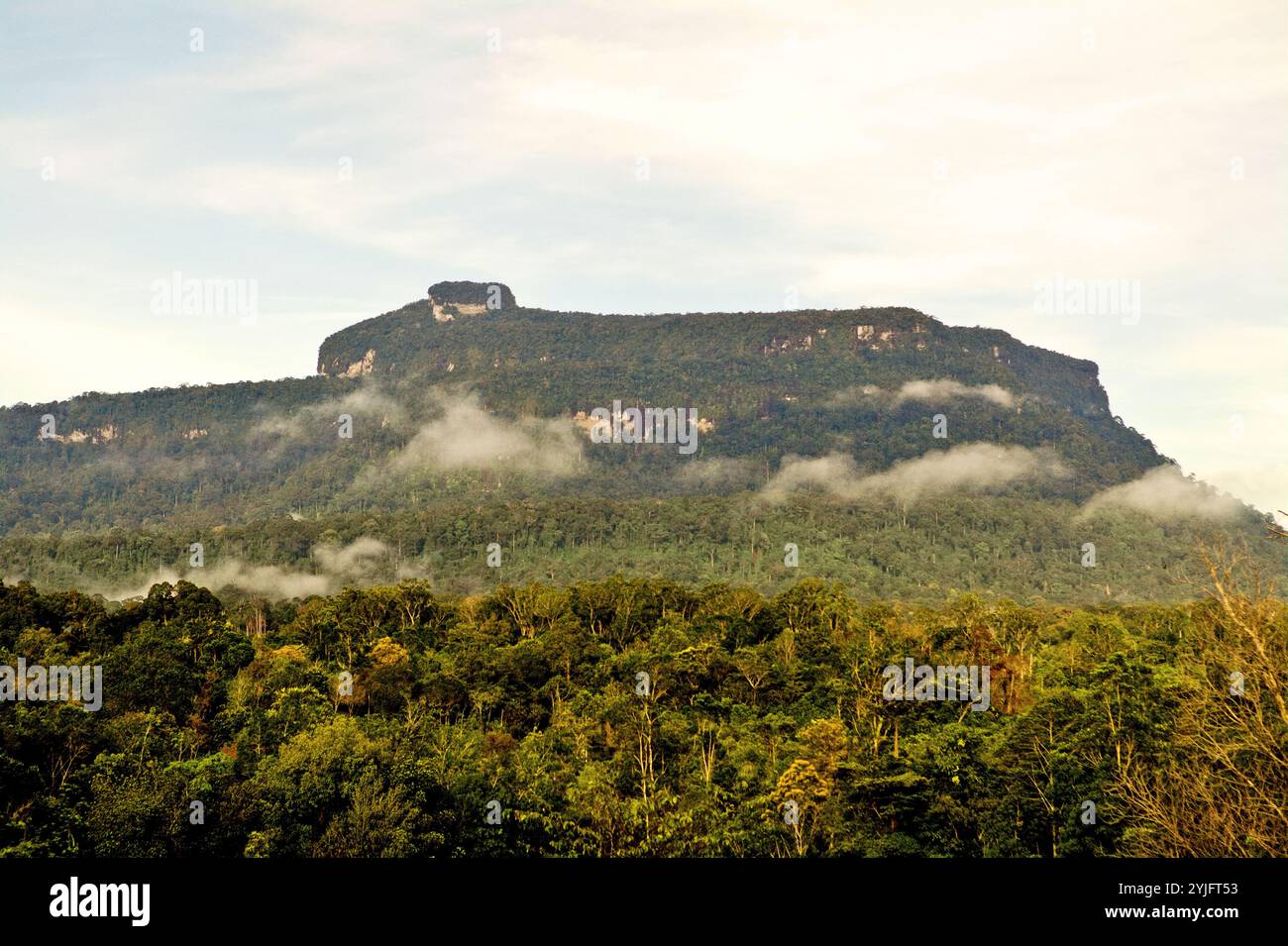 Una vista del paesaggio della foresta pluviale e di Bukit Tilung, una collina sacra secondo la gente del posto, a Nanga Raun, Kalis, Kapuas Hulu, Kalimantan occidentale, Indonesia. Foto Stock