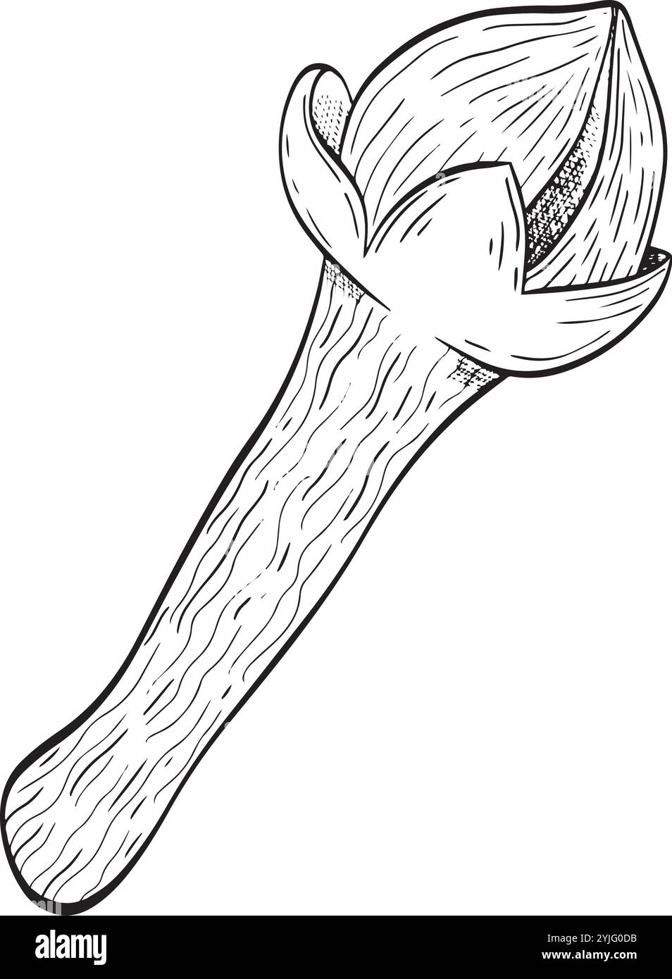 Questo utensile in legno lavorato con cura è ideale per creazioni culinarie uniche e presentazioni gourmet. Grafica vettoriale in bianco e nero disegnata a mano in line art per materiali stampati, interni e altro ancora. Illustrazione Vettoriale