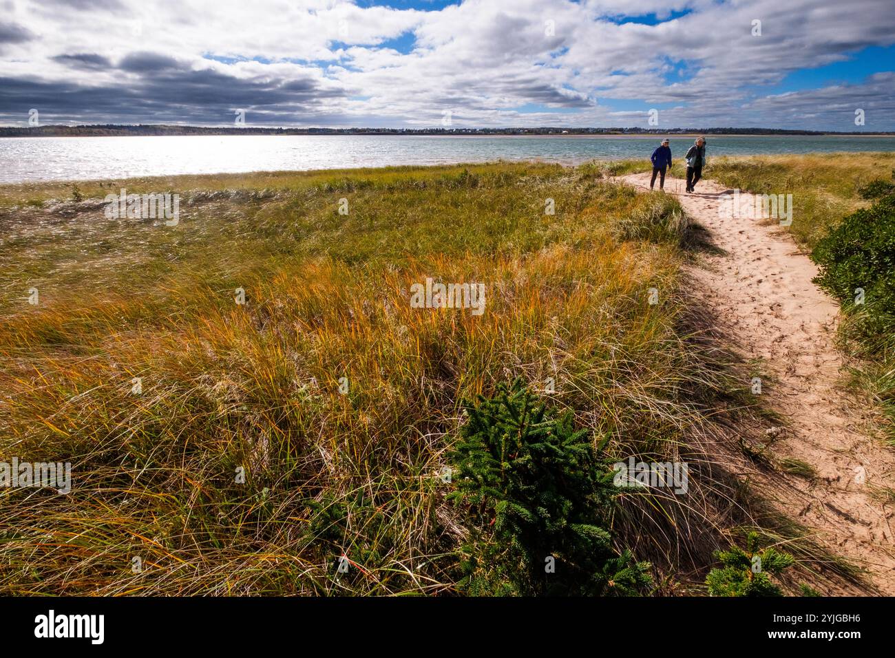 Passeggiando alle Greenwich Dunes nel Prince Edward Island National Park, Greenwich, PEI, Canada. Foto Stock