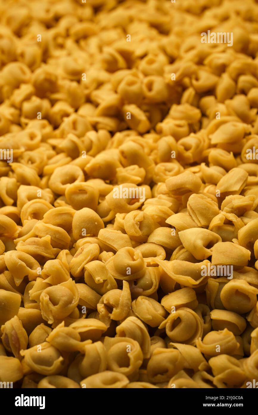 Tortellini tradizionali di Bologna fatti a mano da vicino Foto Stock