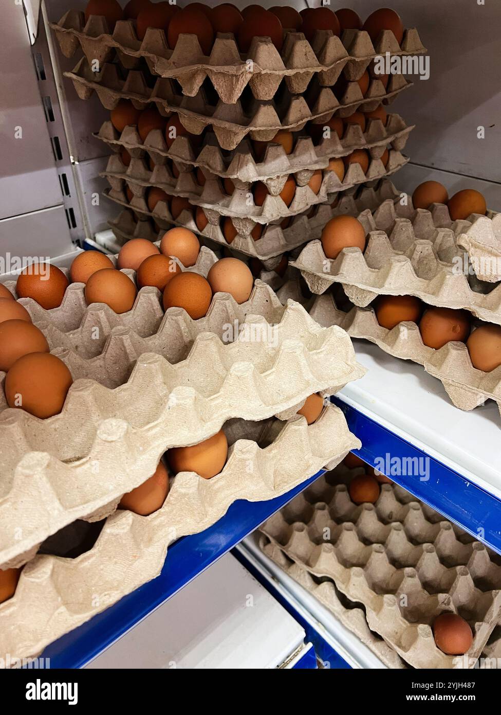 Una raccolta di uova marroni disposte ordinatamente in vassoi di cartone impilati su ripiani metallici, che mostrano un ambiente vivace e organizzato per la conservazione degli alimenti. Foto Stock