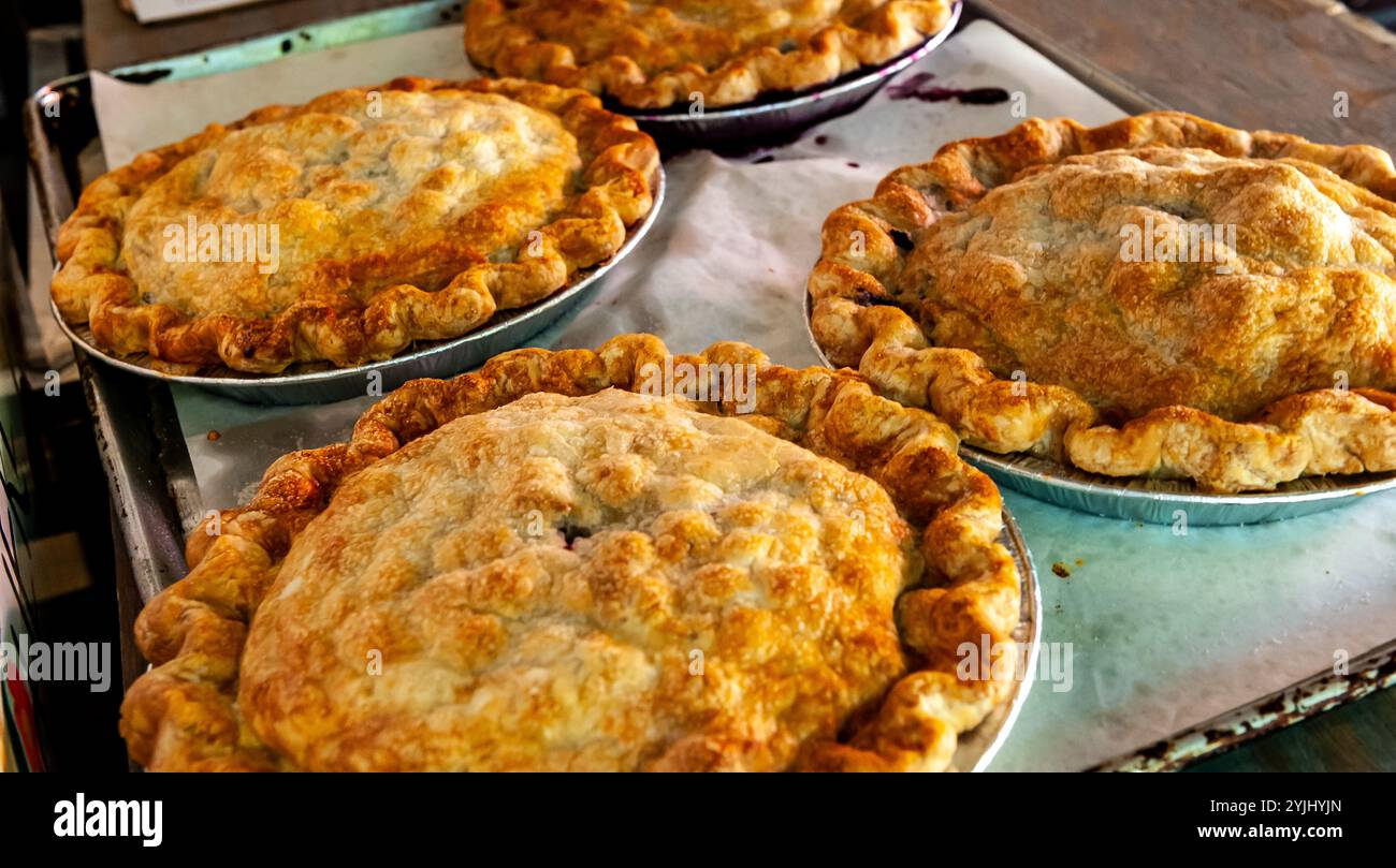 Torte di mele appena sfornate su un vassoio Foto Stock