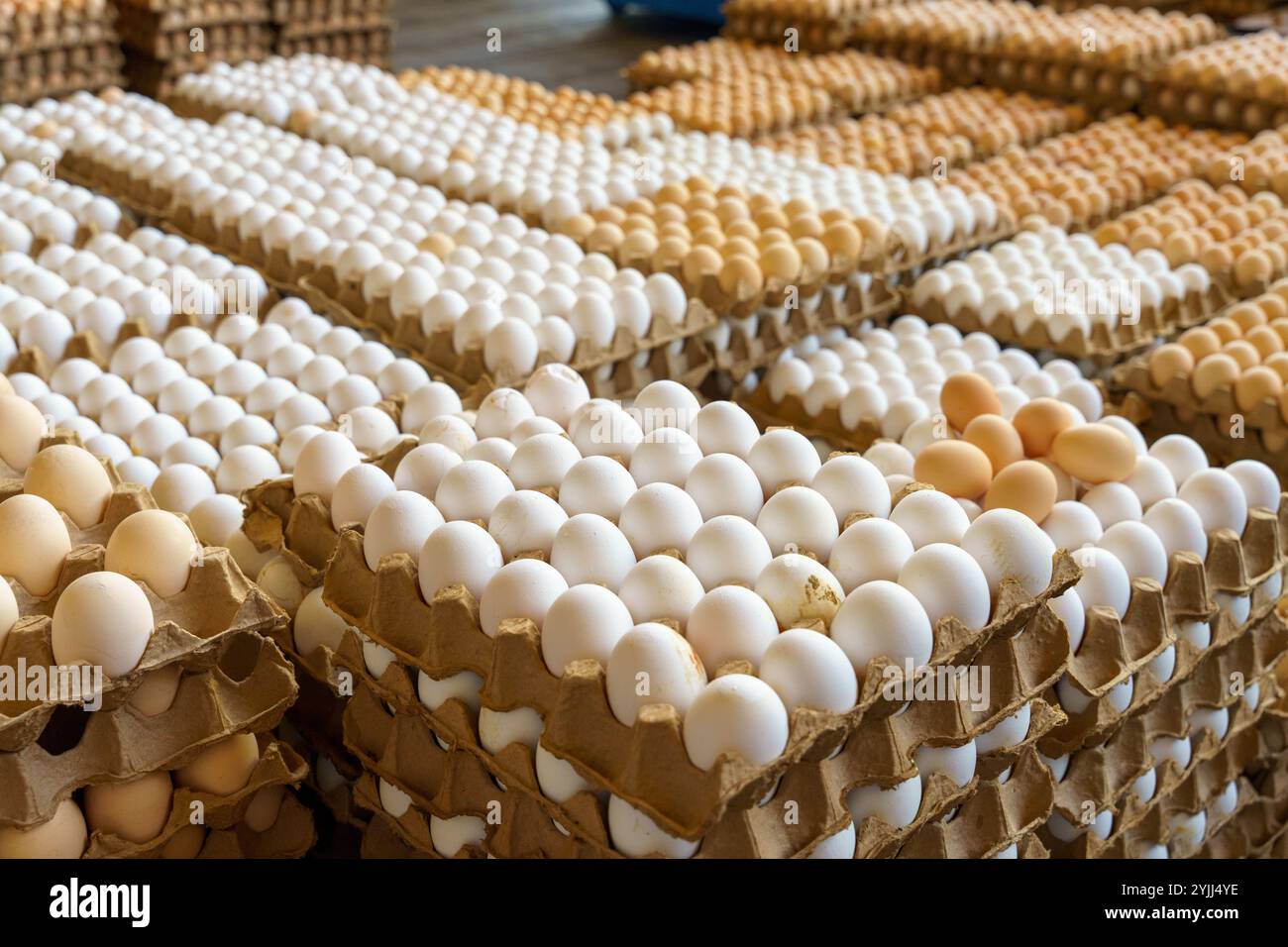 Una pila di cartoni di uova con alcune uova marroni al centro Foto Stock