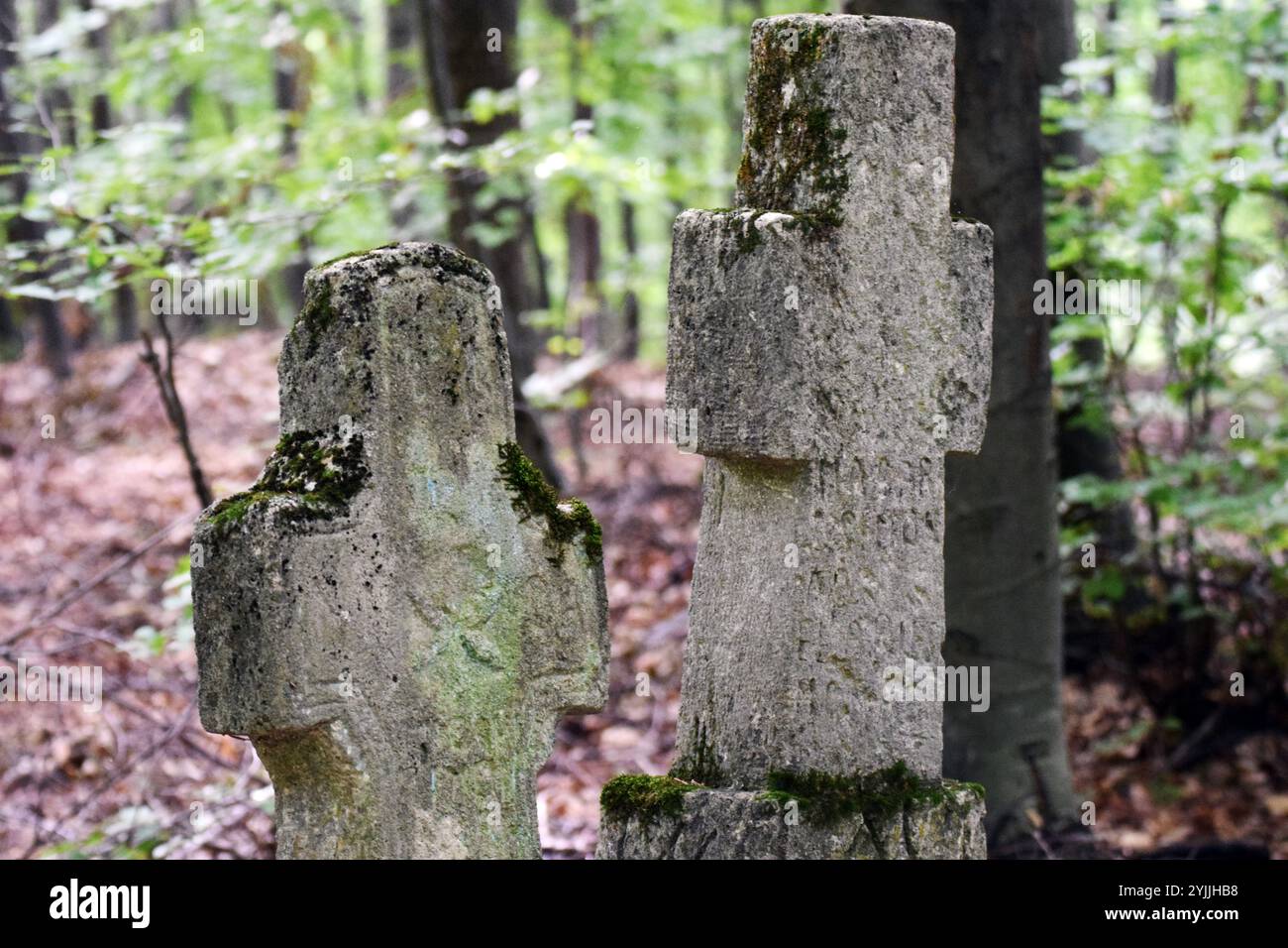 Due vecchie croci di pietra situate in una foresta, vecchi monumenti all'aperto pesantemente intemprati, con iscrizioni indecifrabili con muschio che cresce su di loro. Foto Stock