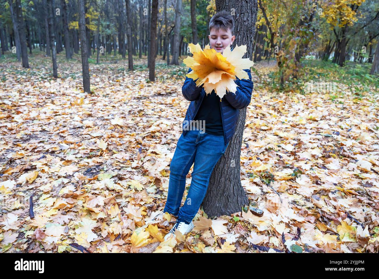 Un ragazzo bianco di 12 anni in un parco autunnale si appoggiò contro un albero, tenendo un mazzo di foglie gialle cadute a livello del petto. Foto Stock