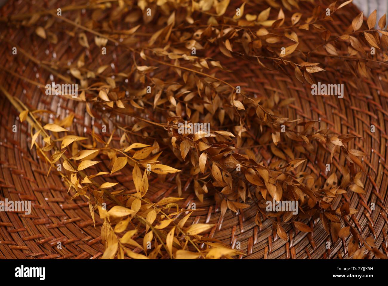 Decorazioni natalizie a tema autunnale che fondono tonalità calde, fogliame autunnale, zucche e accenti rustici natalizi. Foto Stock