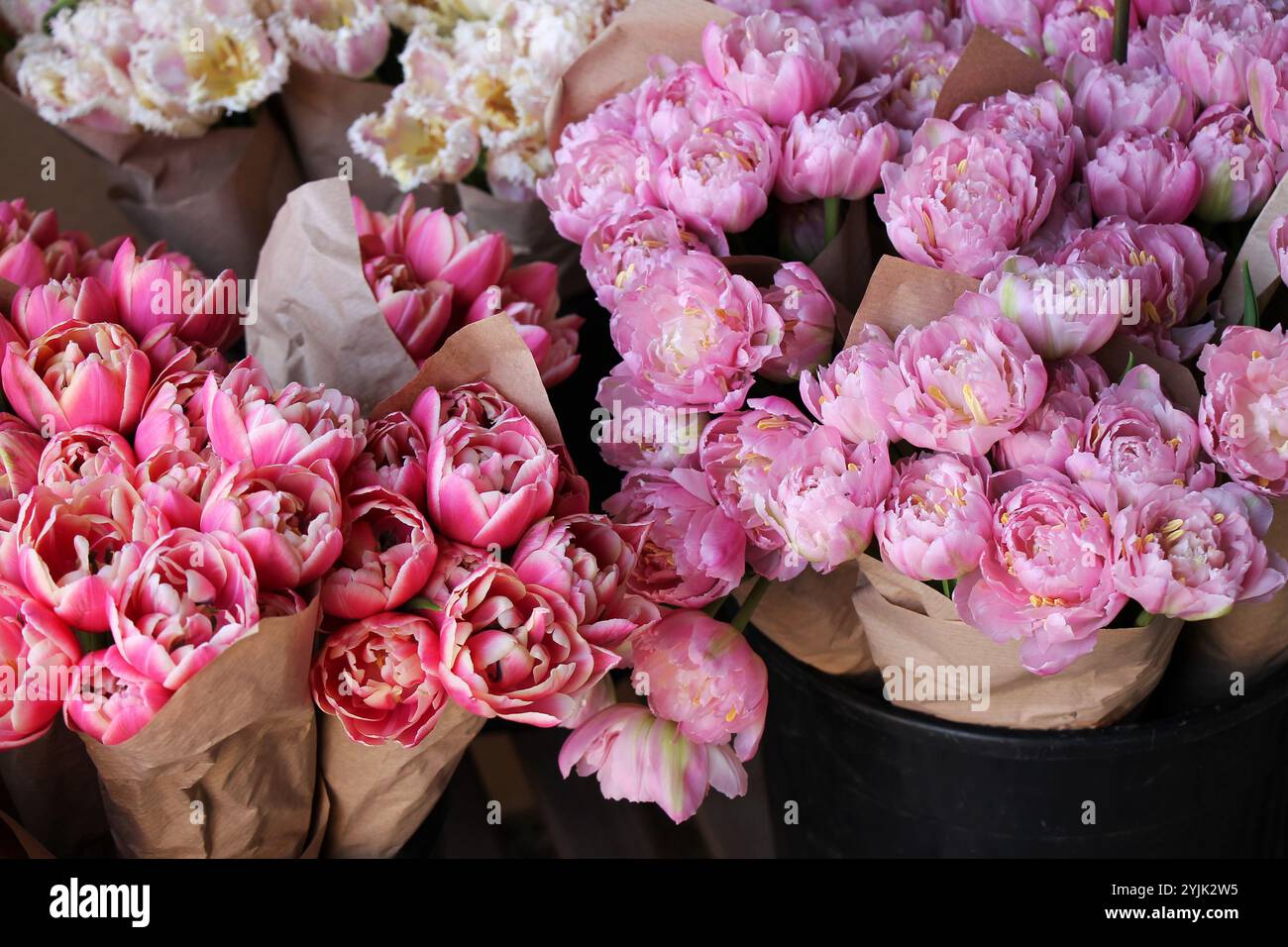 Molte varietà di tulipani in imballaggi di carta per la vendita in un primo piano del mercato dei fiori. Foto Stock