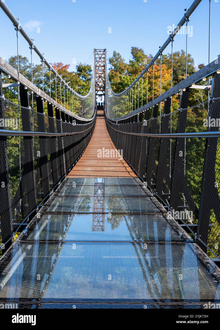 Riflesso Skybridge, Boyne Falls, Michigan. Foto Stock