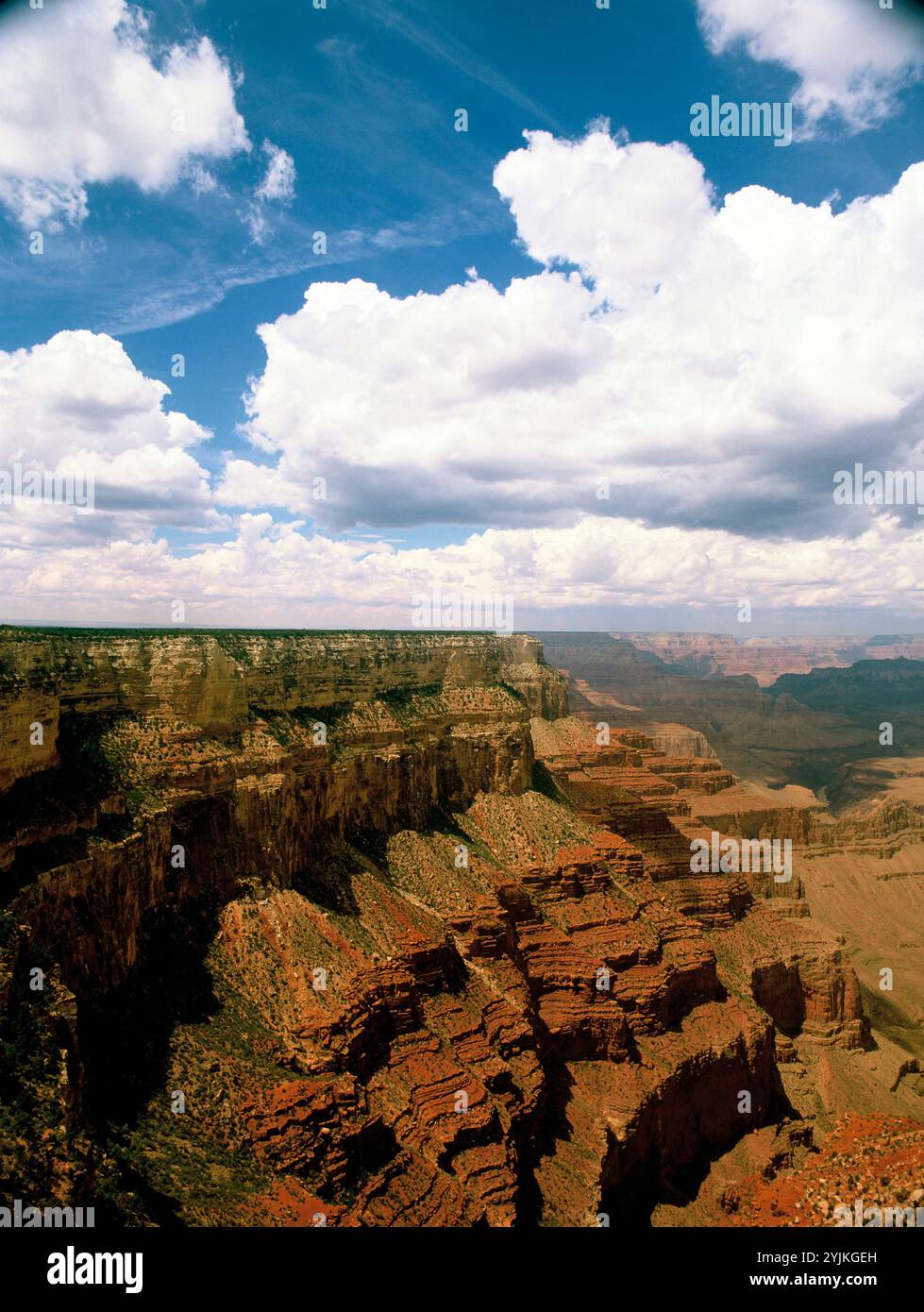 Stati Uniti d'America. In Arizona. Il Grand Canyon. Foto Stock