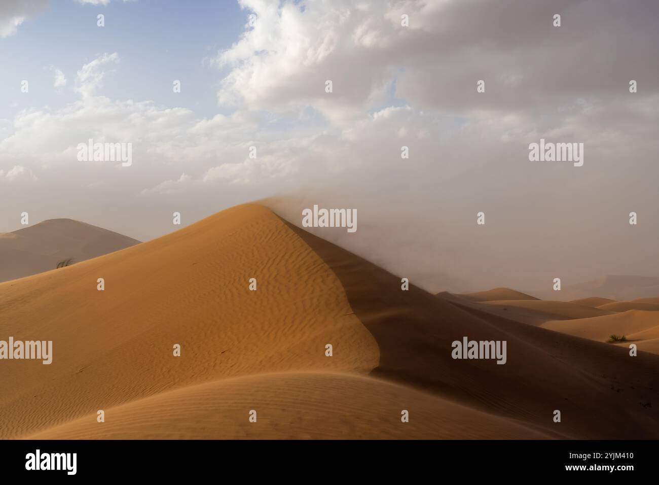 Vento che soffia la sabbia nel deserto del Sahara, Marocco, Africa. Foto Stock