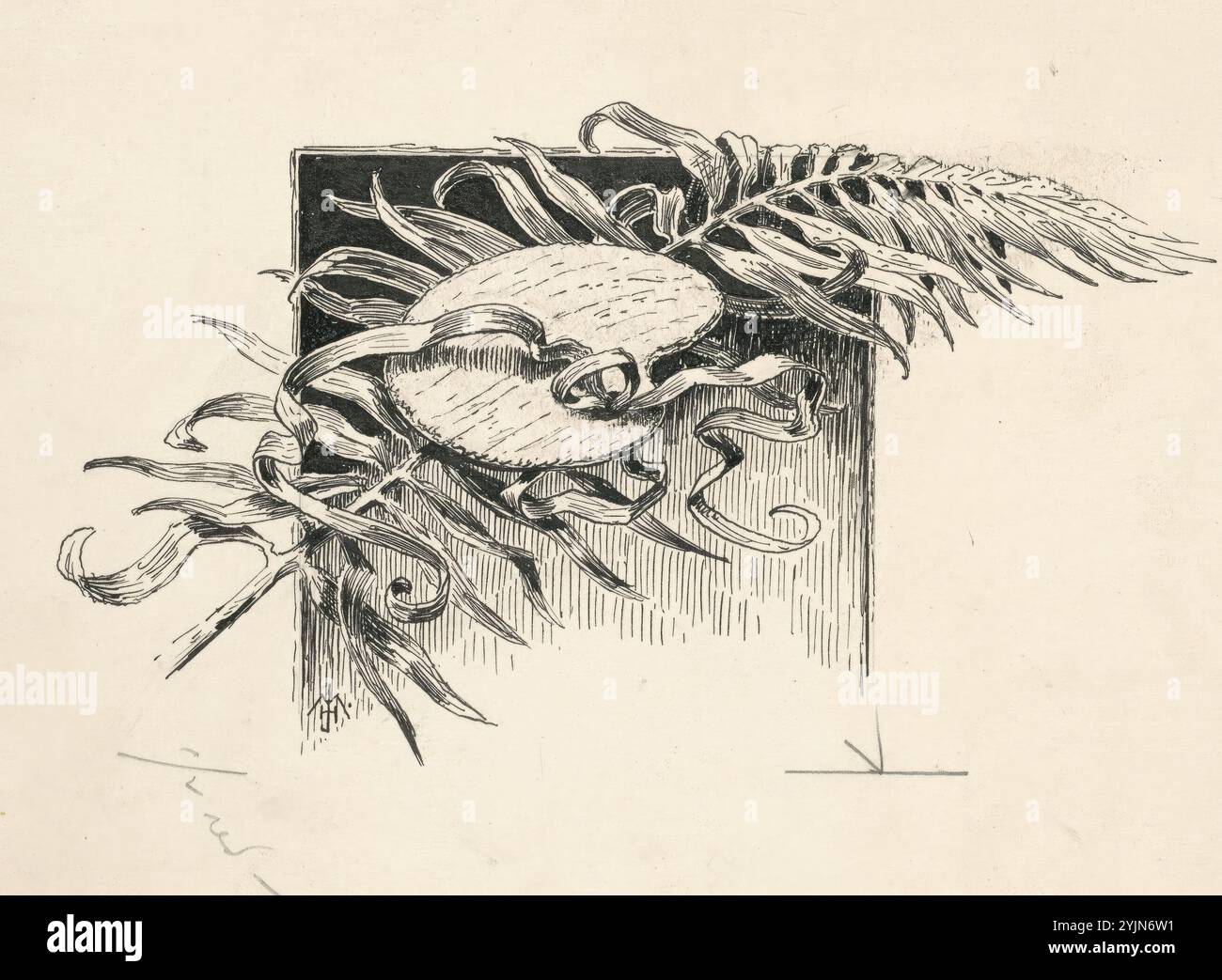 James Henry Moser, americano, nato in Canada, 1854 - 1913, tavolozza, 1890-1891, 1892 Catalogo Corcoran Gallery of Art, penna e inchiostro nero su grafite su cartone, immagine (irregolare): 7,94 x 15,24 cm (3 1, 8 x 6 pollici), scheda: 17,15 x 23,18 cm (6 3, 4 x 9 1, 8 pollici) Foto Stock