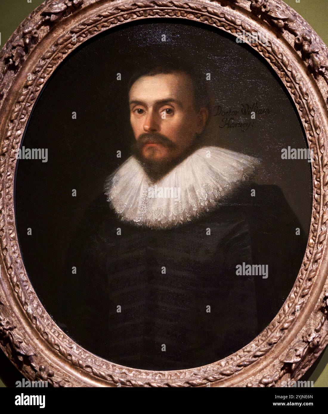 William Harvey, 1578-1657, circa 1627, attribuito a Daniel Mytens, National Portrait Gallery, Londra, Regno Unito. Foto Stock