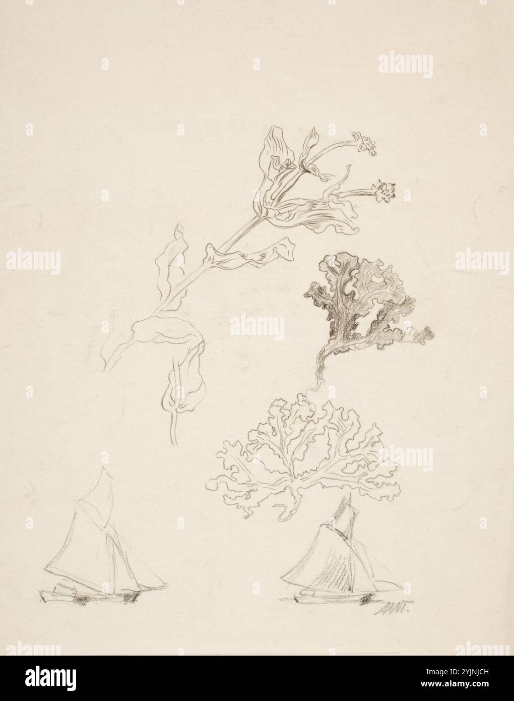 Finch, Alfred William, lavoro, esercizi, piante e barche a vela, matita, disegno, 38 cm x 28 cm Foto Stock