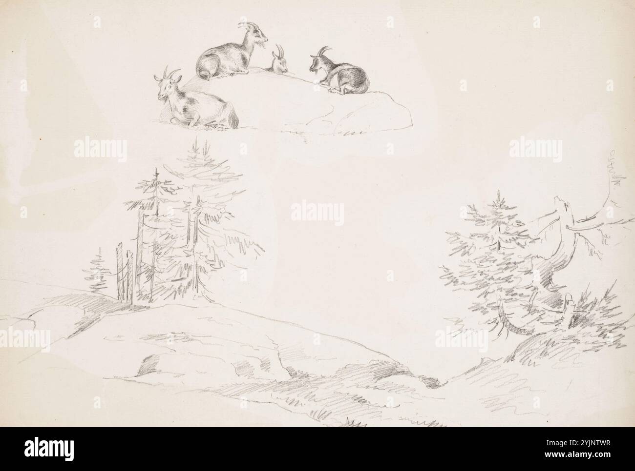 Wright, Magnus von, lavoro, due trattati, 1846, matita, disegno, PAESAGGIO, roccia, ANIMALE, capre, 27 cm x 38 cm Foto Stock