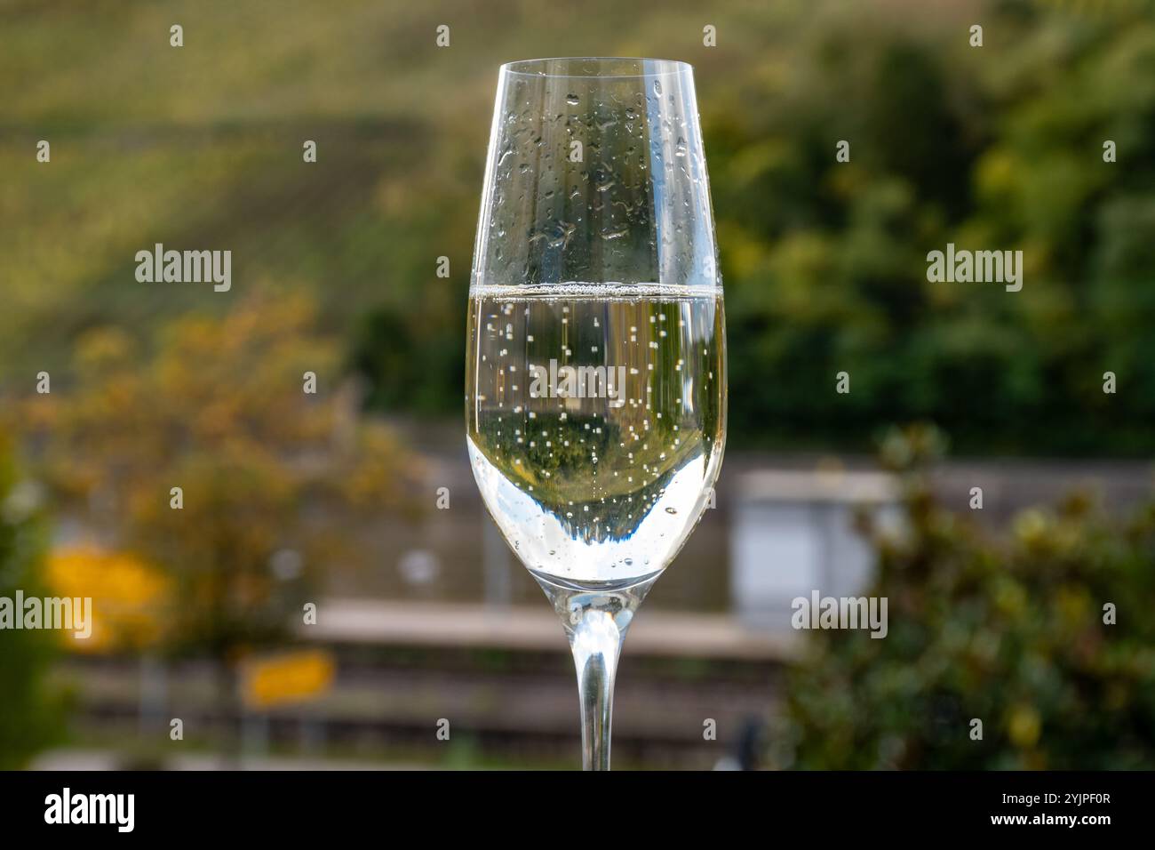 Degustazione di vino bianco frizzante, metodo tradizionale di produzione del cremanto in grotte sulla valle della Mosella in Lussemburgo, bicchieri di vino e vi Foto Stock