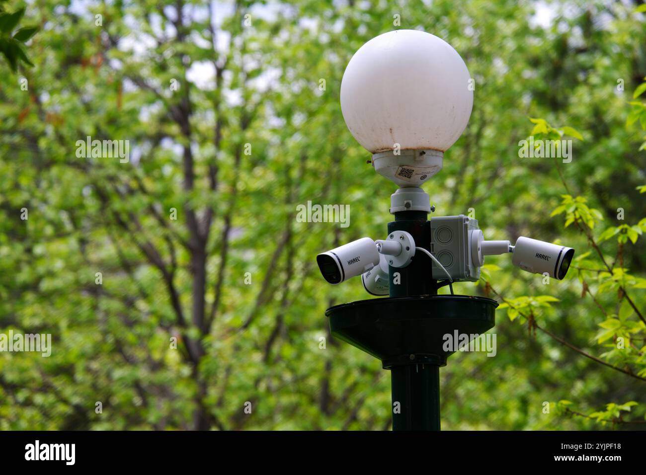 Telecamere di sicurezza all'interno degli alberi montate su una lampada Foto Stock