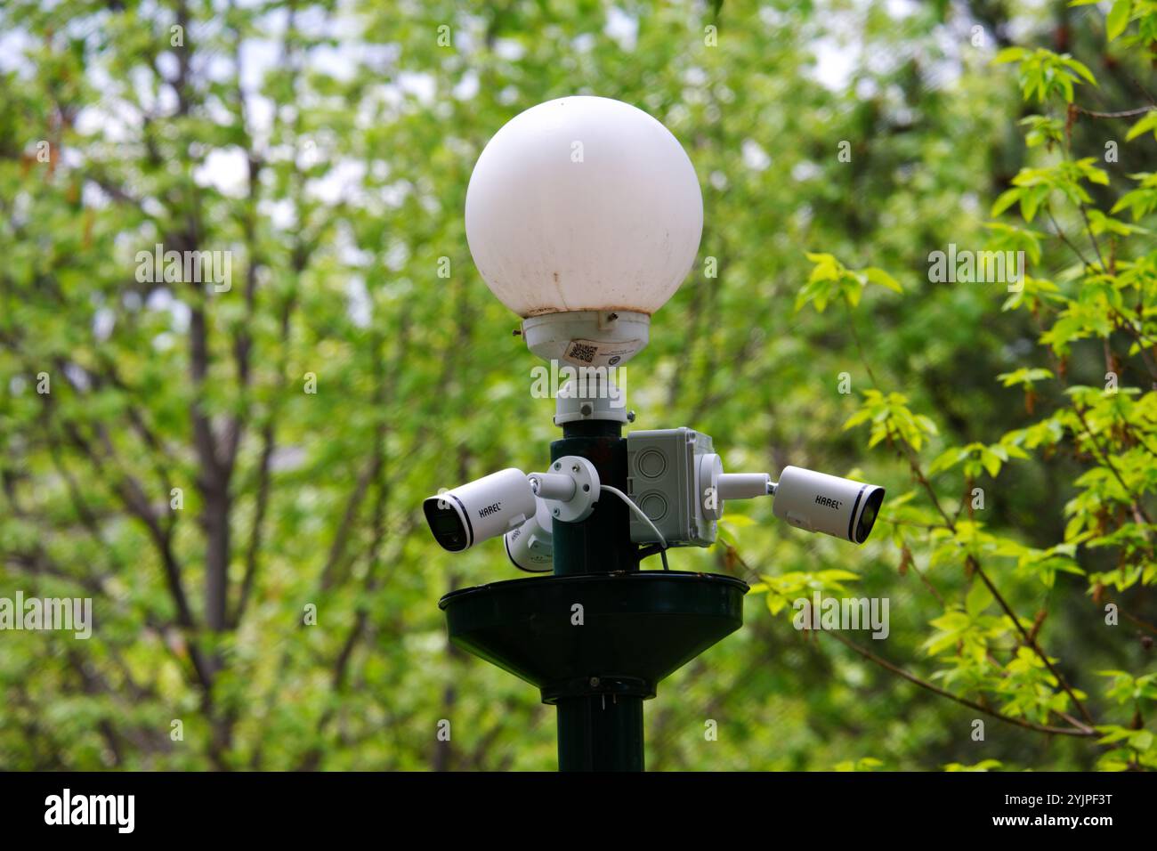 Telecamere di sicurezza all'interno degli alberi montate su una lampada Foto Stock