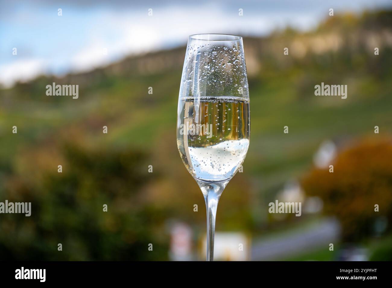 Degustazione di vino bianco frizzante, metodo tradizionale di produzione del cremanto in grotte sulla valle della Mosella in Lussemburgo, bicchieri di vino e vi Foto Stock