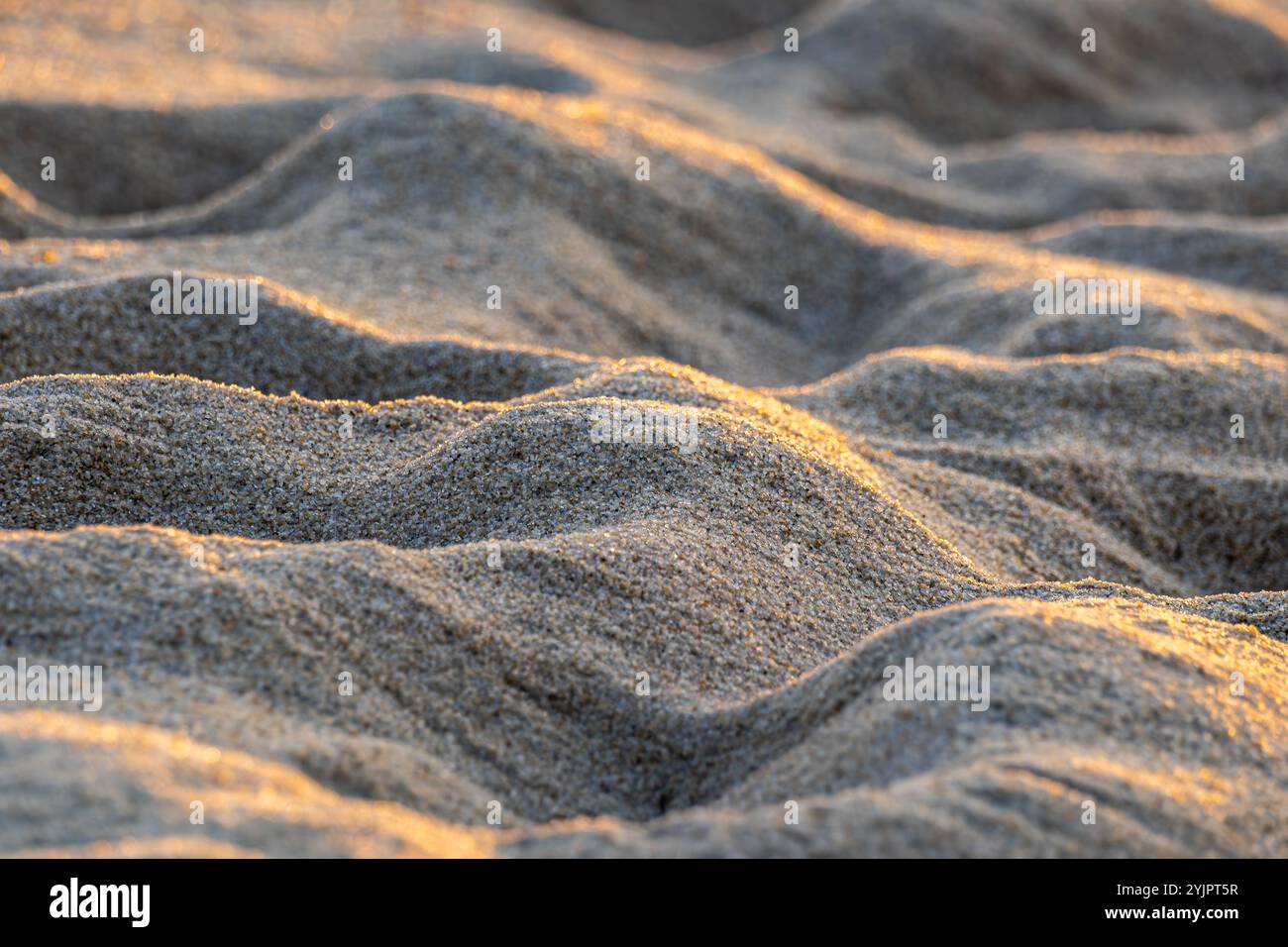 Primo piano della spiaggia di sabbia alla luce del tramonto Foto Stock