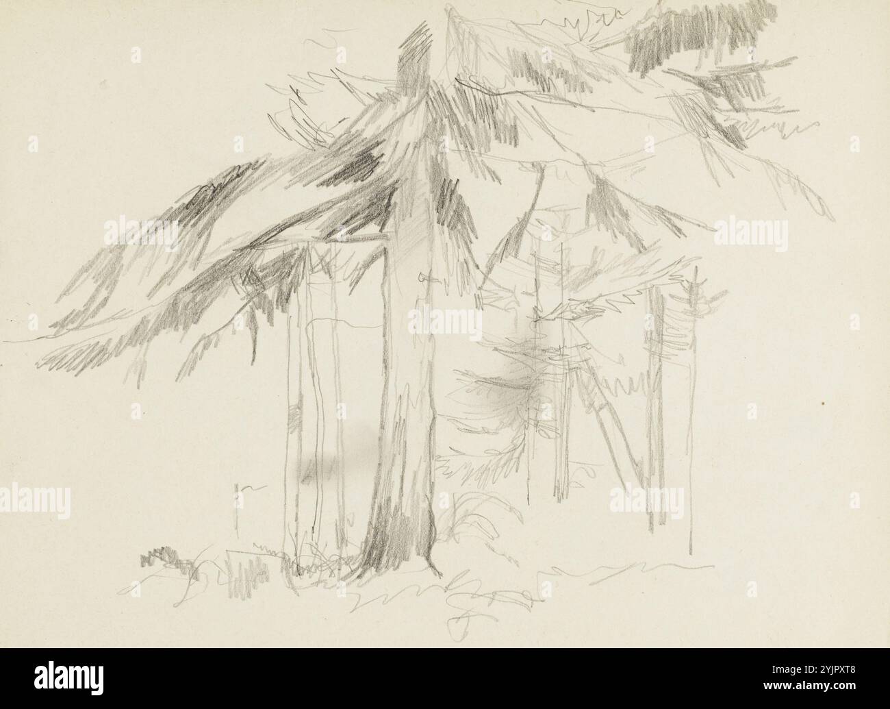 Wright, Wilhelm von, lavoro, due fringuelli appesi, ca. 1852, olio su tela, pittura, 33 cm x 24 cm, Wilhelm von Wright 1810 – 1887, pittore svedese-finlandese e naturalista dilettante Foto Stock