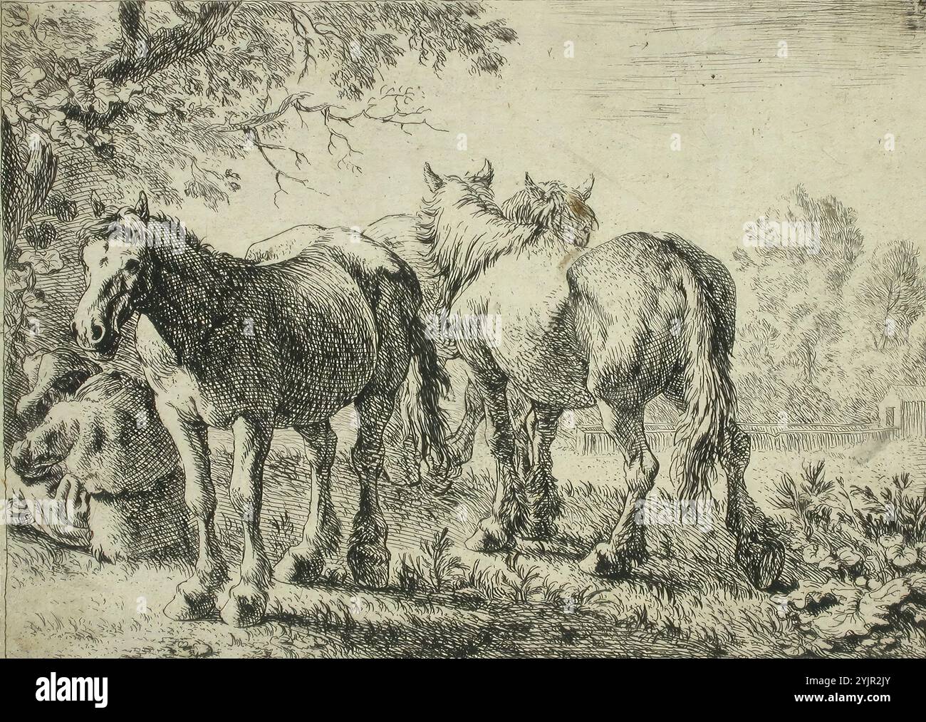 Laer, Pieter de, lavoro, cavalli, (1000 - 2000), incisione lineare, grafica, larghezza immagine 17 cm, altezza immagine 12,2 cm Foto Stock