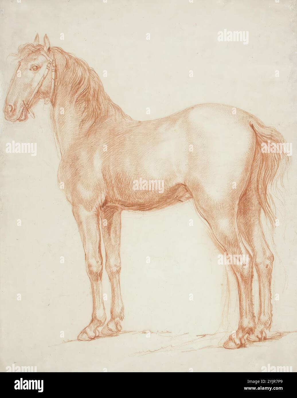 Lauréus, Alexander, lavoro, Cavallo, 1807, gesso rosso, disegno, ANIMALE, cavallo, 54,2 cm x 38 cm Foto Stock