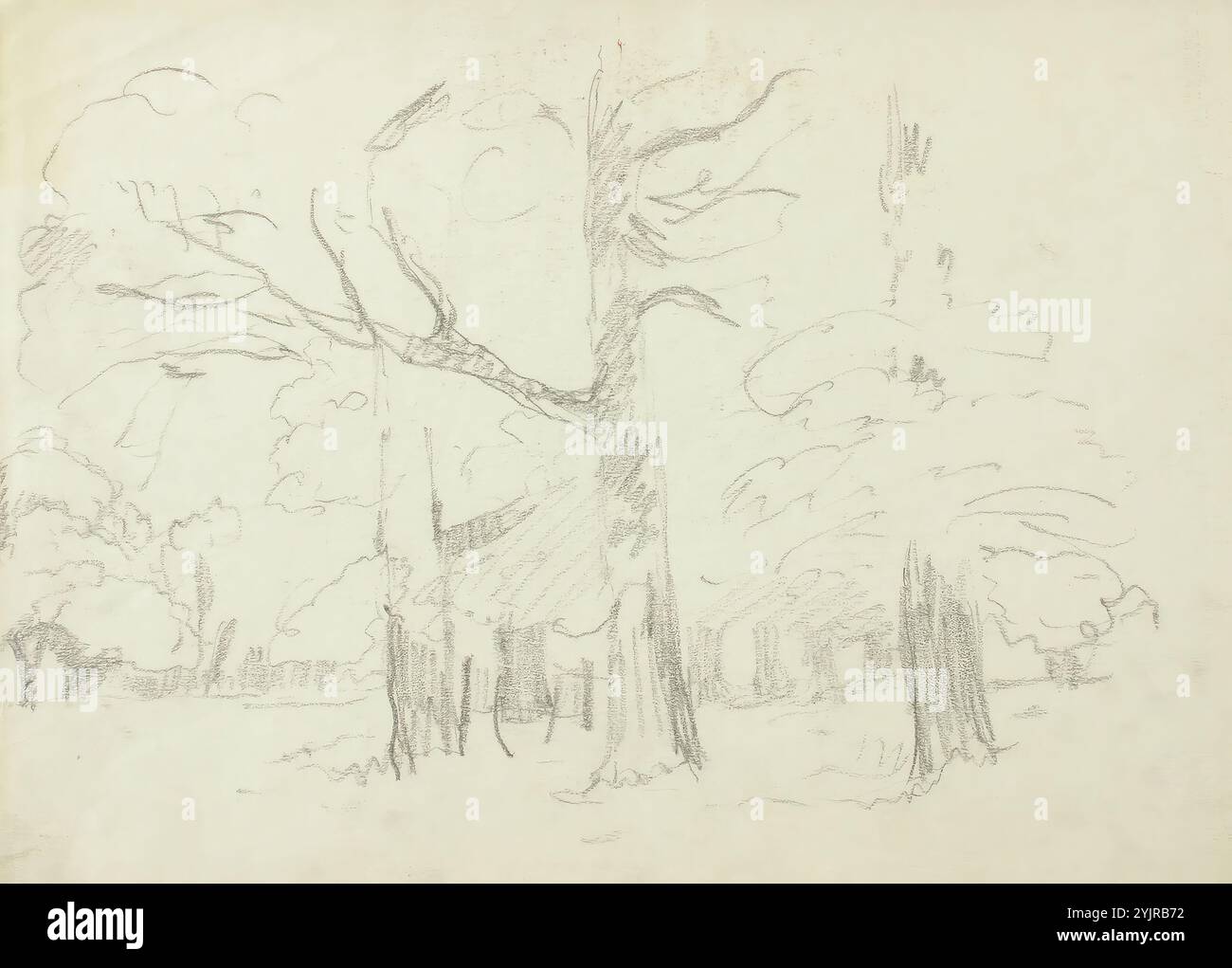 Finch, Alfred William, lavoro, Puistoharjoilma, matita, disegno, 28 cm x 38 cm Foto Stock