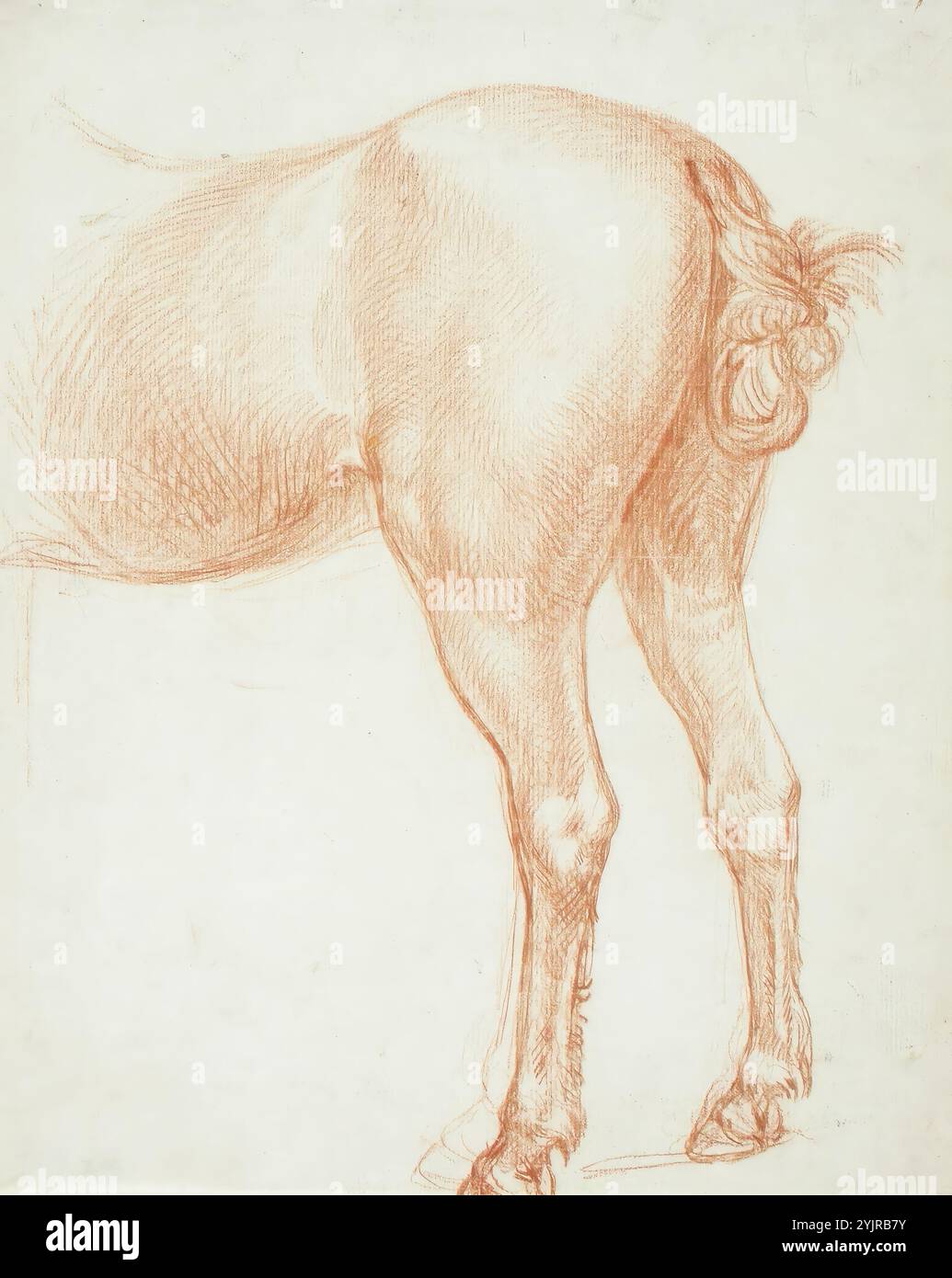 Lauréus, Alexander, lavoro, quartieri posteriori del cavallo, disegno, 36,4 cm x 29,3 cm Foto Stock