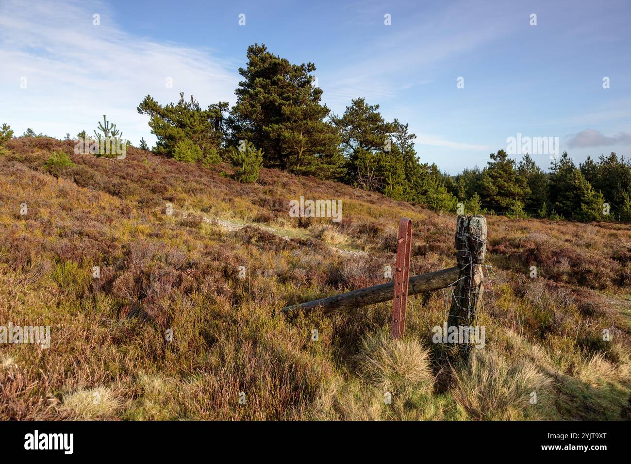 Recinzione sul sentiero Offas Dyke, Moel Famau, Clwydian Range, Galles del Nord Foto Stock