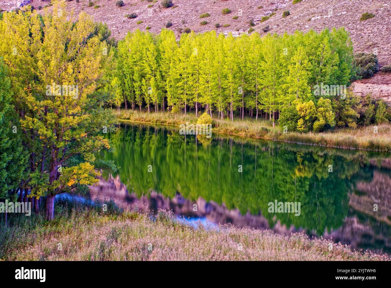 Laguna de Somolinos. Monumento naturale Sierra de Pela y Laguna de Somolinos. Somolinos. Provincia di Guadalajara. Castilla-la Mancha. Spagna. Foto Stock