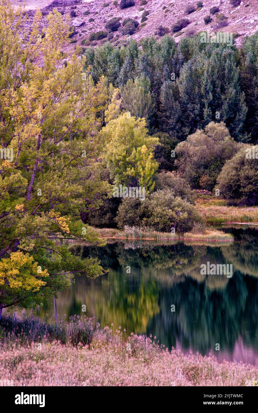 Laguna de Somolinos. Monumento naturale Sierra de Pela y Laguna de Somolinos. Somolinos. Provincia di Guadalajara. Castilla-la Mancha. Spagna. Foto Stock