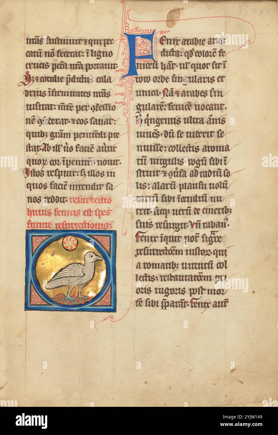 A Phoenix; De natura Avium; De Pastoribus et Ovibus; Bestiarium; Mirabilia Mundi; Philosophia Mundi; On the Soul, 1277 o dopo. La fenice mitologica è un uccello immortale associato al sole. Ottiene nuova vita risorgendo dalle ceneri del suo predecessore. Ulteriori informazioni: Un bestiario è una raccolta di storie su animali, uccelli, pesci, piante e persino pietre, le cui proprietà sono state interpretate come riflessioni dell'ordine divino di Dio. Durante gli anni '1200, la curiosità sul mondo naturale era così diffusa che il bestiario illustrato raggiunse l'apice della sua popolarità. Oltre a. Foto Stock