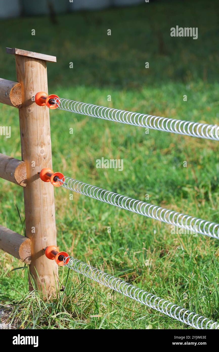 20.10.2024, SAALBACH, AUT, Unterwegs a SALISBURGO, Symbolbild, Themenbild, Verschiedene Themenbilder, Weidezaun, Zaun, Elektrischer Zaun, Vorsicht, Schild, Kuh, Kühe, Ziegen, Schafe, Kälber, Herbst 2024, Kuh, Kühe, ALM, im Bild Weidezaun, Zaun, Strom, Elektrischer Zaun, caratteristica, *** 20 10 2024, SAALBACH, AUT, sulla strada a SALISBURGO, immagine simbolica, immagine a tema, varie immagini a tema, recinzione pasquale, recinzione, recinzione elettrica, attenzione, cartello, mucca, mucche, capre, pecore, vitelli, autunno 2024, mucche, mucche, pascolo, recinzione per pascolo in foto, recinzione, elettricità, recinzione elettrica, caratteristica, Foto Stock