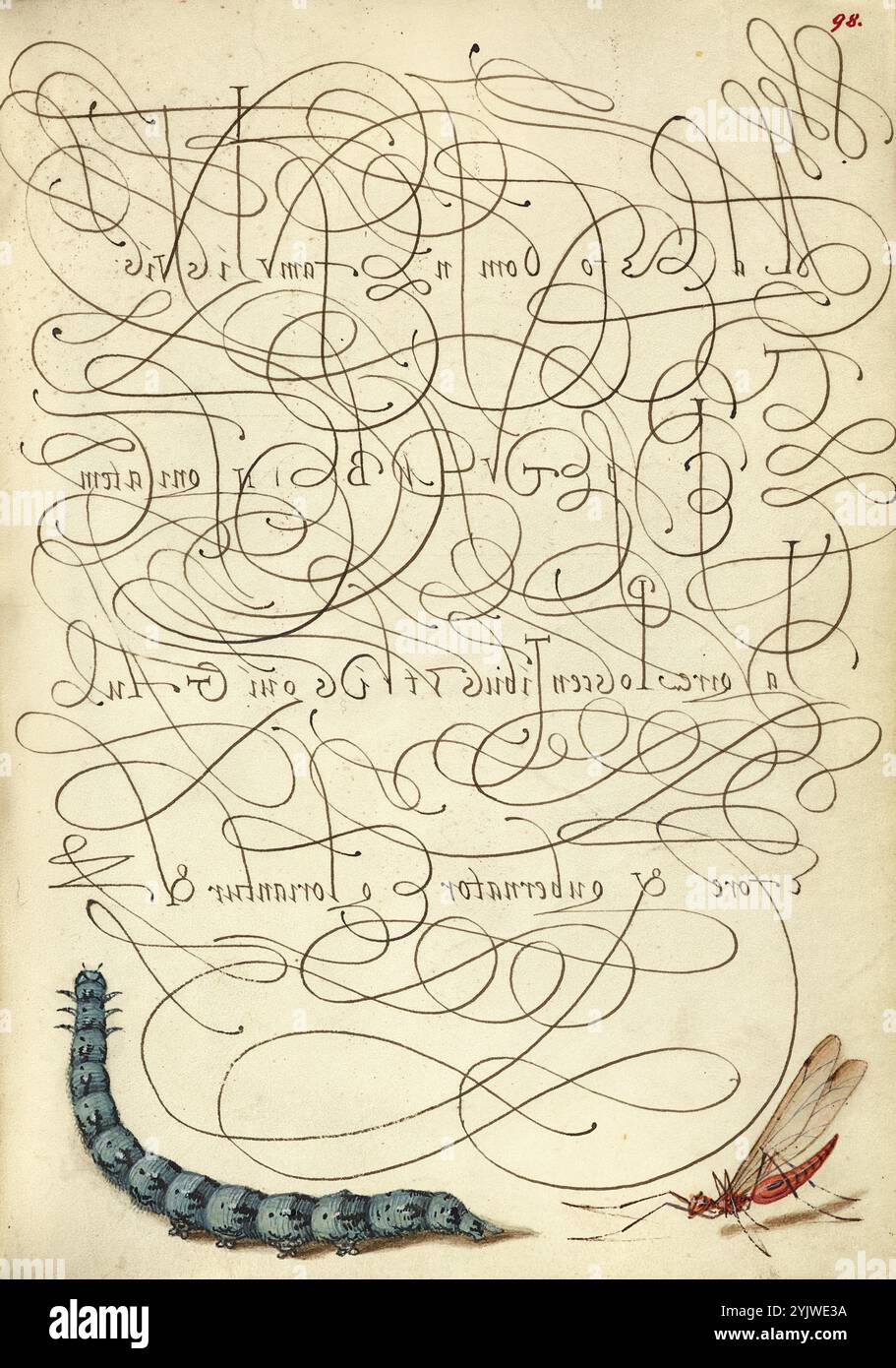 Caterpillar and Insect; mira calligraphiae monumenta, 1561-1562; illuminazione aggiunta 1591-1596. Informazioni aggiuntive: Negli anni '1500, quando la stampa divenne il metodo più comune per produrre libri, gli intellettuali apprezzarono sempre più l'inventiva degli scribi e le qualità estetiche della scrittura. Dal 1561 al 1562, Georg Bocskay, segretario di corte dell'imperatore del Sacro Romano Impero Ferdinando i, creò questo Model Book of Calligraphy per dimostrare la sua padronanza tecnica dell'immensa gamma di stili di scrittura a lui noti. L'imperatore Rodolfo II in seguito commissionò a Joris Hoefnagel di illuminare il libro modello di Bocskay. H Foto Stock