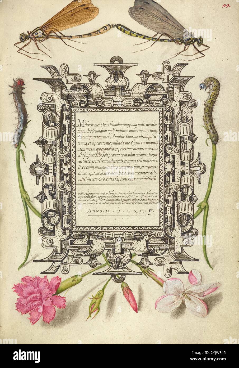Damselflies, Caterpillars, garofano e gelsomino del poeta; mira calligraphiae monumenta, 1561-1562; illuminazione aggiunta 1591-1596. Informazioni aggiuntive: Negli anni '1500, quando la stampa divenne il metodo più comune per produrre libri, gli intellettuali apprezzarono sempre più l'inventiva degli scribi e le qualità estetiche della scrittura. Dal 1561 al 1562, Georg Bocskay, segretario di corte dell'imperatore del Sacro Romano Impero Ferdinando i, creò questo Model Book of Calligraphy per dimostrare la sua padronanza tecnica dell'immensa gamma di stili di scrittura a lui noti. L'imperatore Rodolfo II in seguito commissionò a Joris Hoefnagel Foto Stock